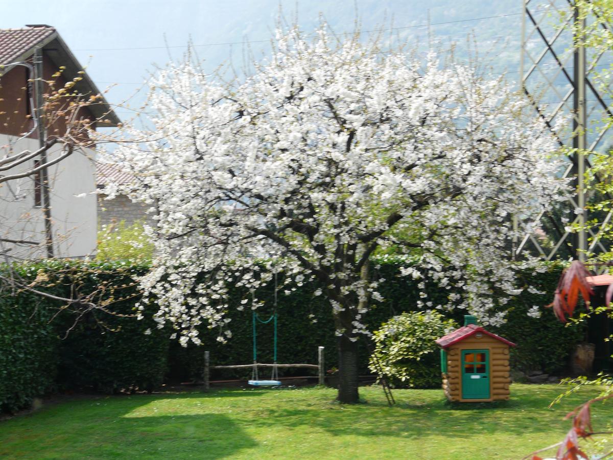 La Casa Di Clara Panzió Esine Kültér fotó