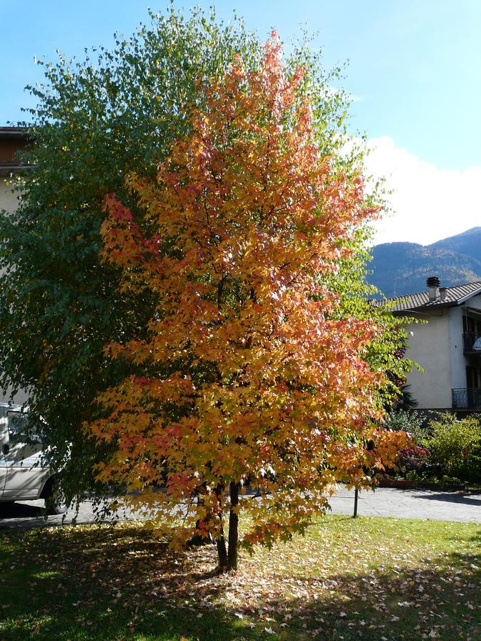 La Casa Di Clara Panzió Esine Kültér fotó