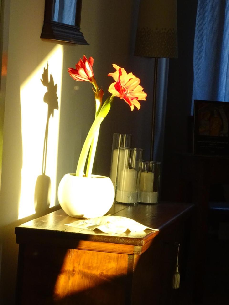 La Casa Di Clara Panzió Esine Kültér fotó